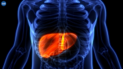 华大基因肿瘤检测轻松实现肝癌早发现早治疗
